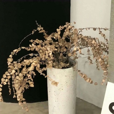 Furry绘画原创技巧福瑞交流群